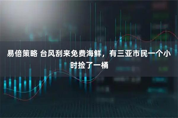 易倍策略 台风刮来免费海鲜，有三亚市民一个小时捡了一桶