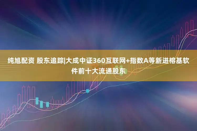 纯旭配资 股东追踪|大成中证360互联网+指数A等新进榕基软件前十大流通股东