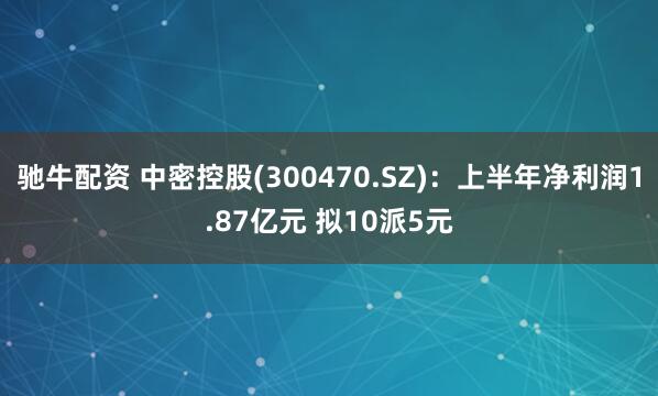 驰牛配资 中密控股(300470.SZ)：上半年净利润1.87亿元 拟10派5元