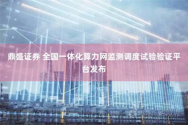 鼎盛证券 全国一体化算力网监测调度试验验证平台发布