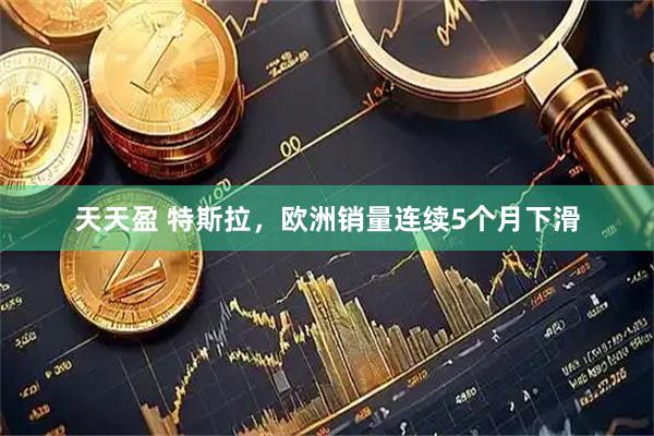 天天盈 特斯拉，欧洲销量连续5个月下滑
