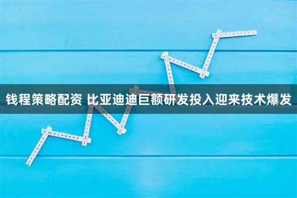钱程策略配资 比亚迪迪巨额研发投入迎来技术爆发
