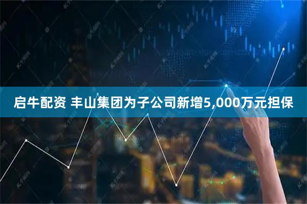 启牛配资 丰山集团为子公司新增5,000万元担保